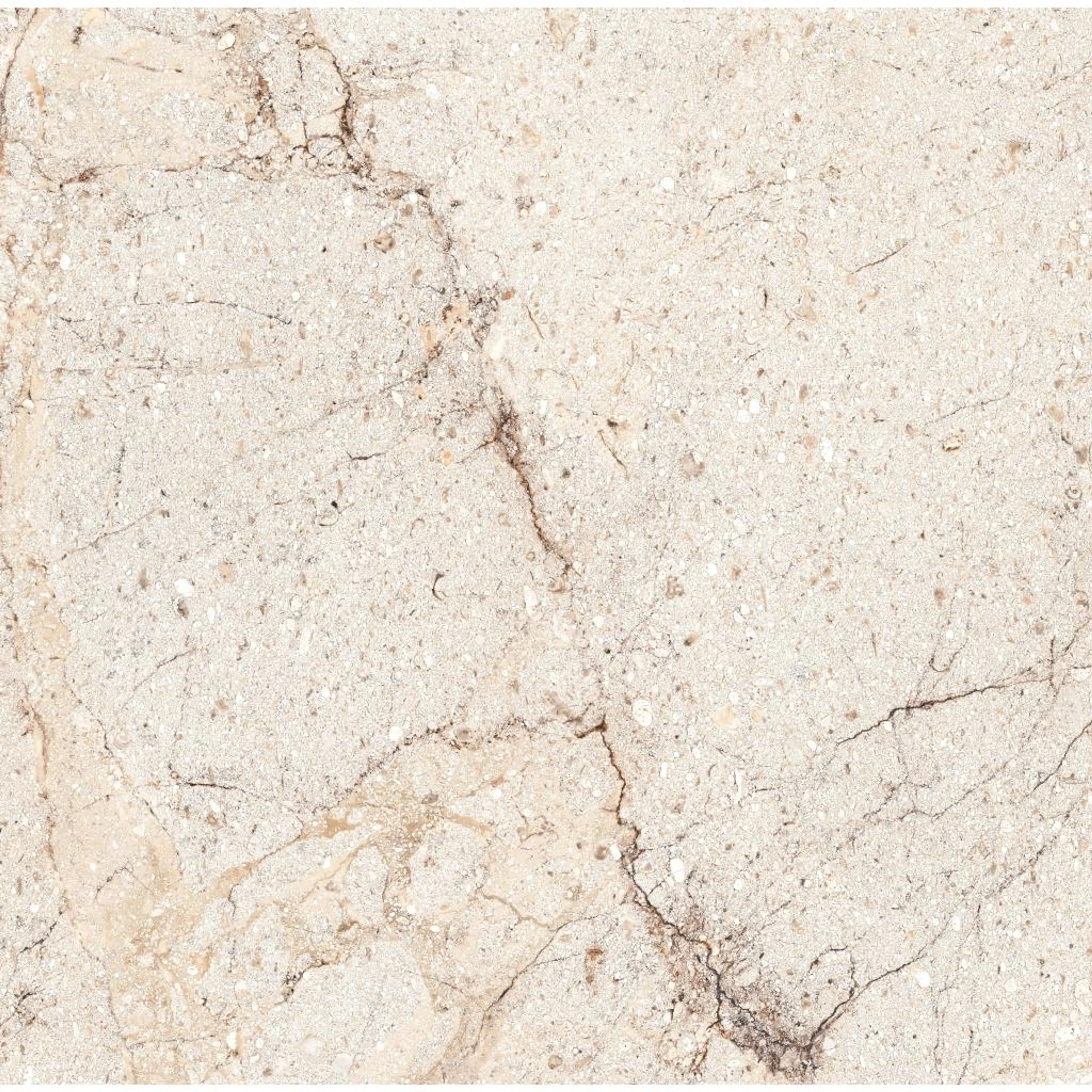 ACROPOLIS BONE 9032B11