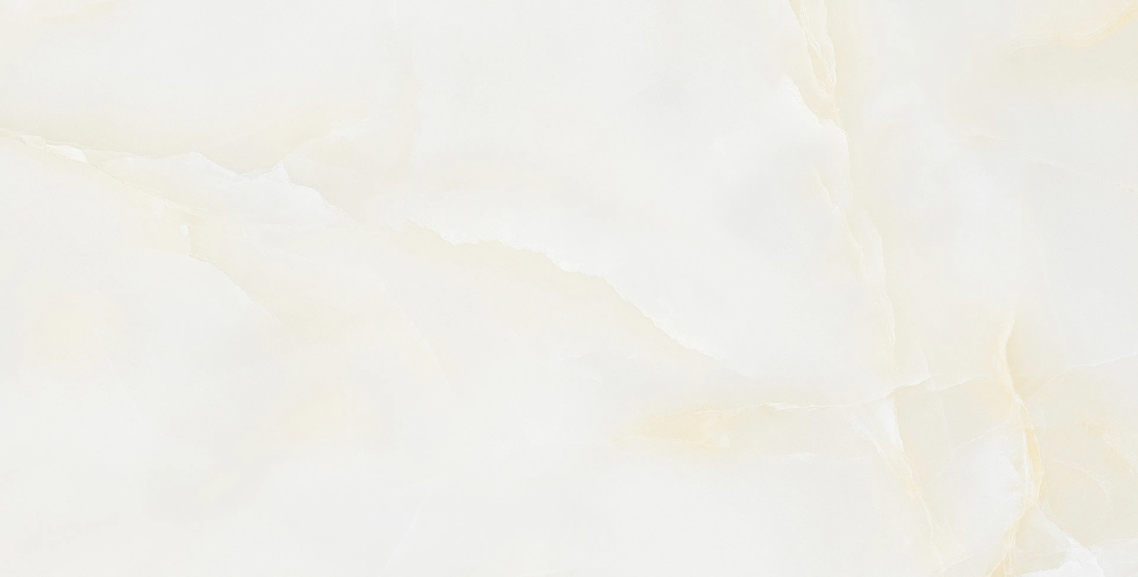 AMONITO GREY 114CA11