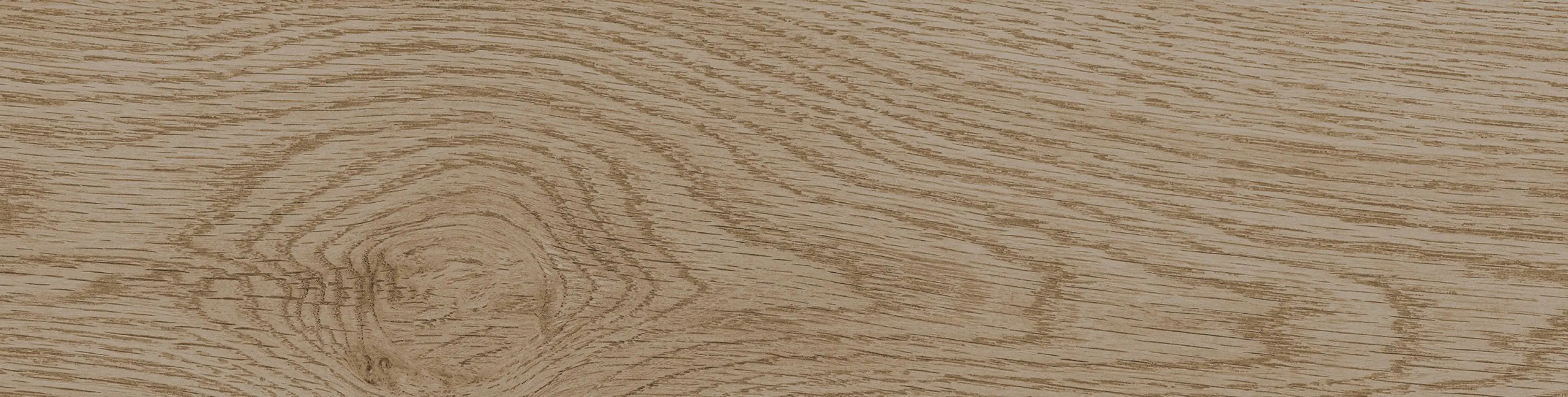 CONDOR BEIGE 117CD11