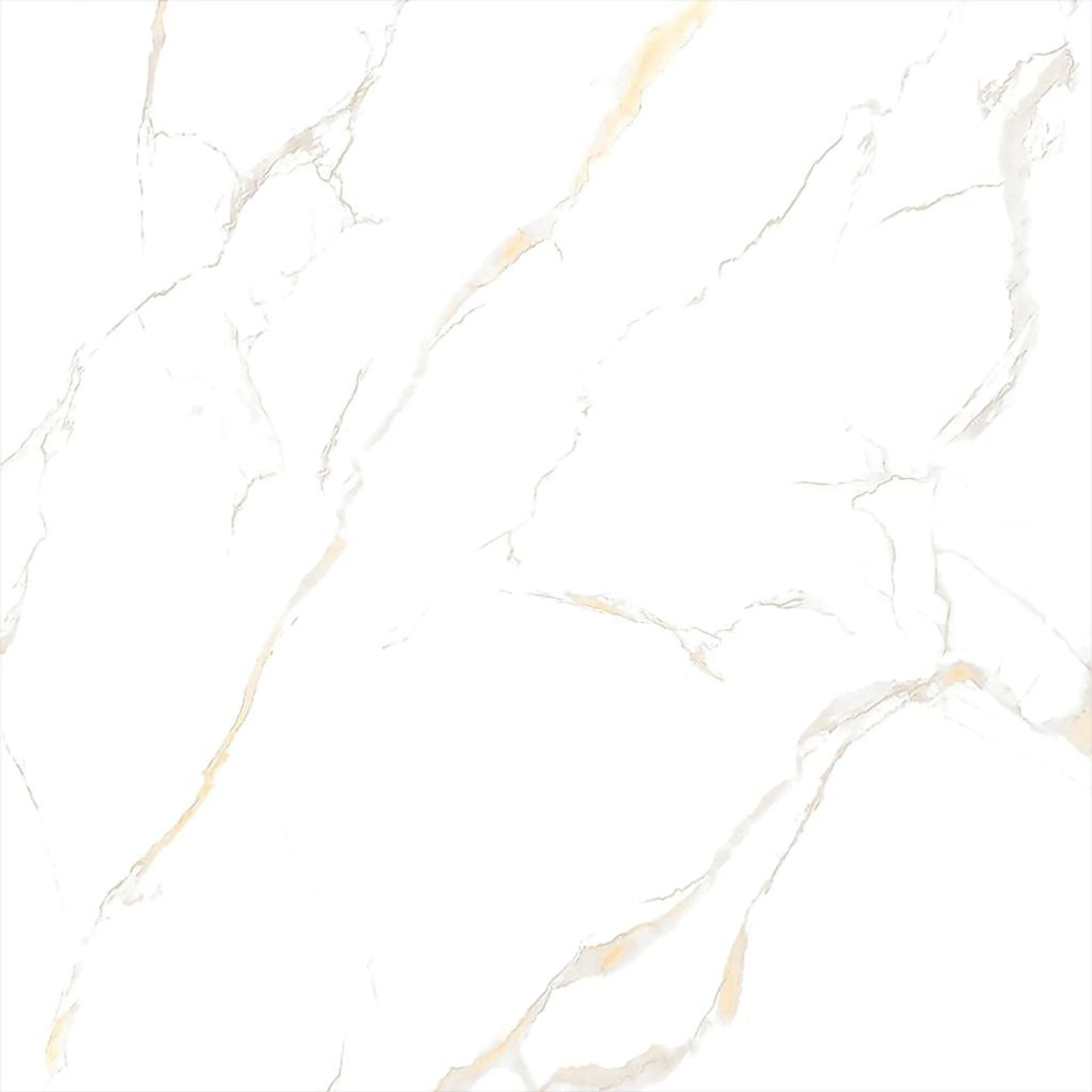 ECO 1B 9080B11