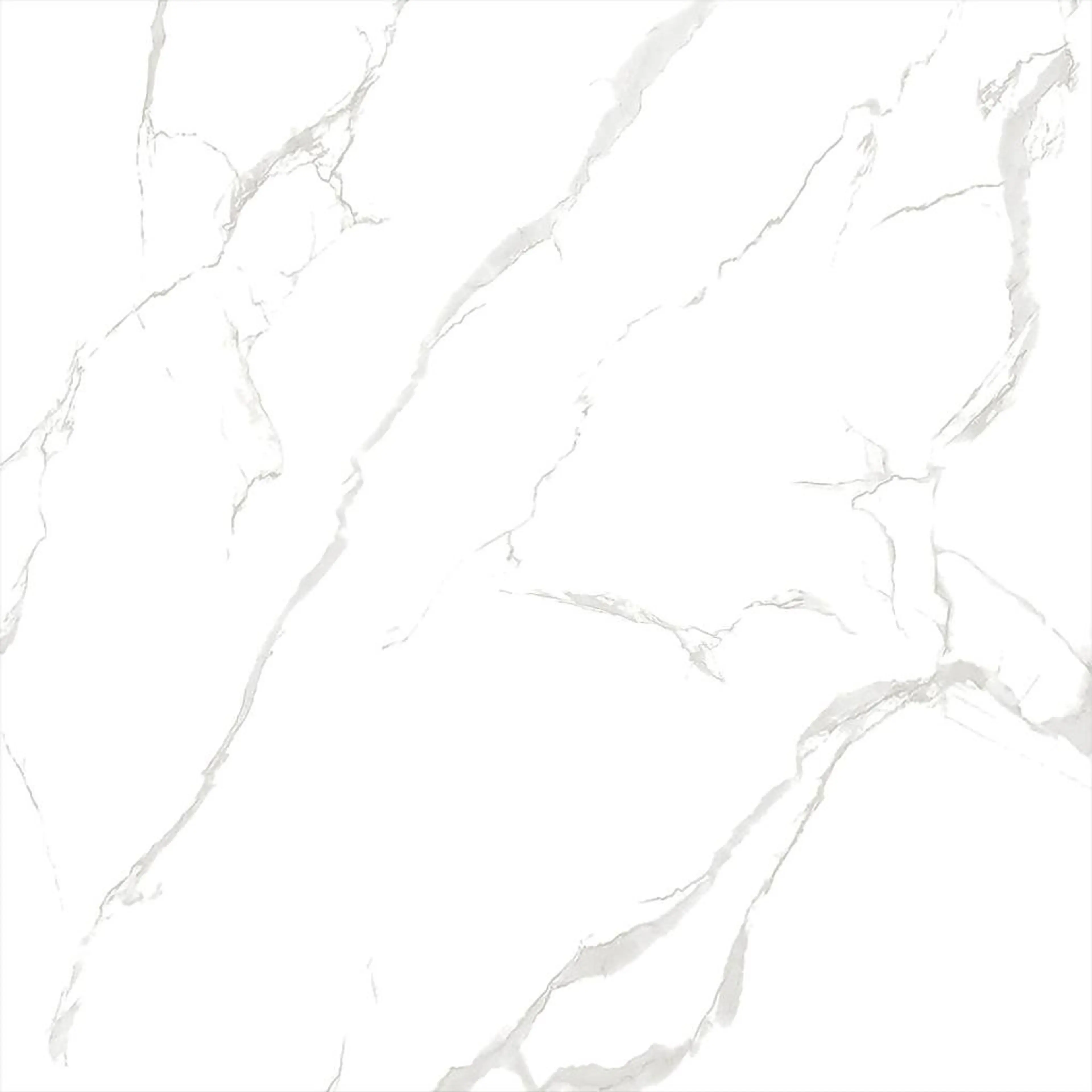 ECO 1G 9079B11
