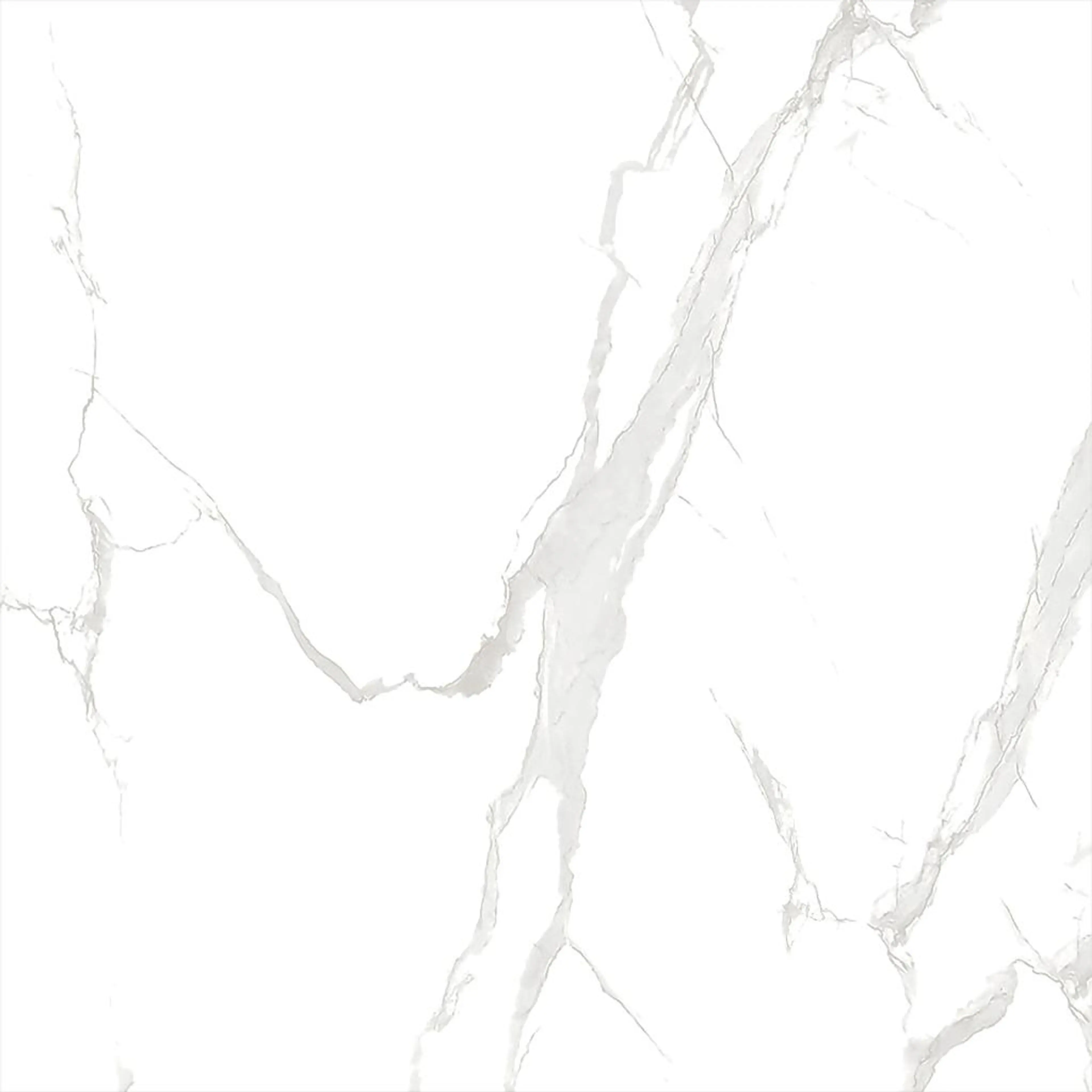 ECO 1G 9079B11