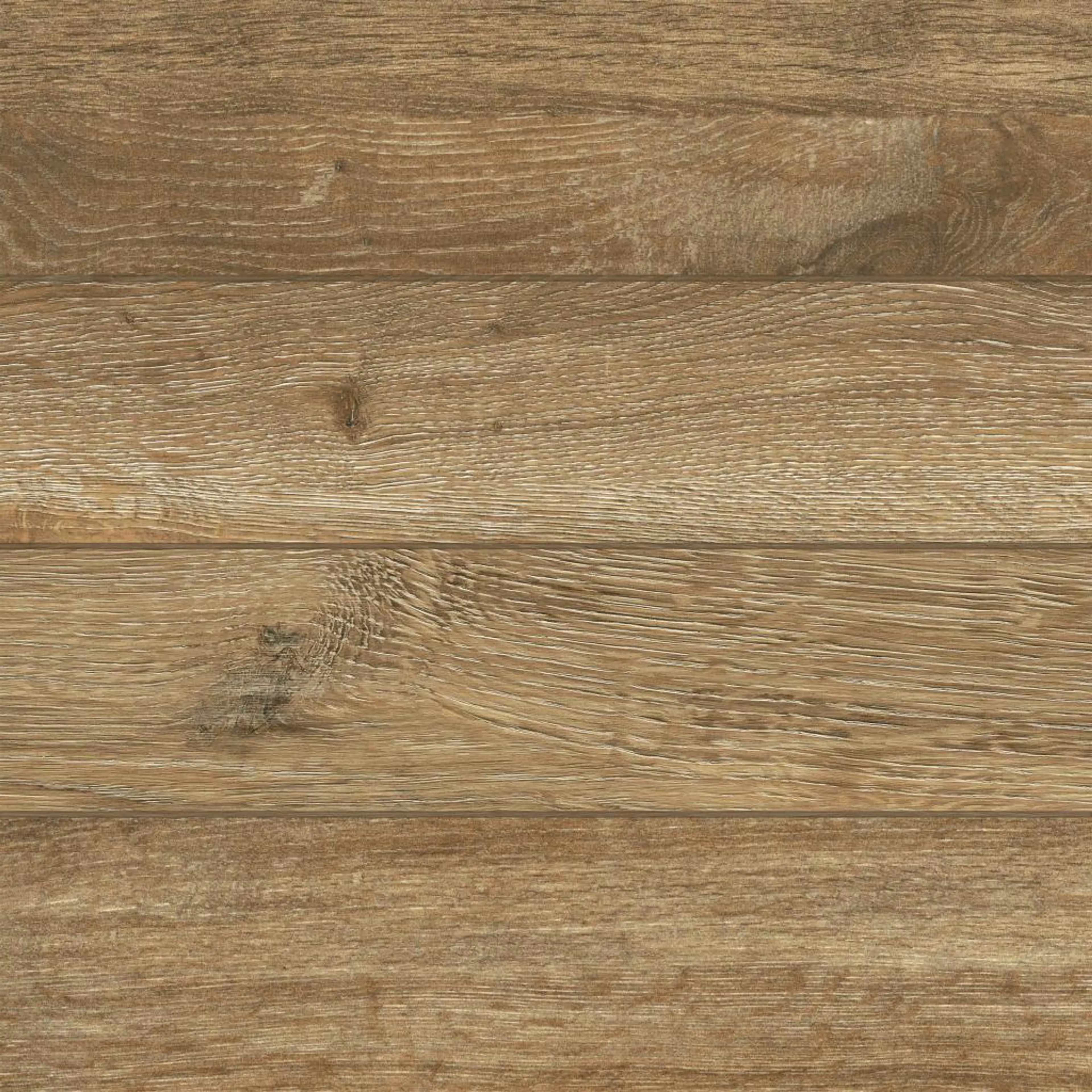 FOREST BROWN 9001E11