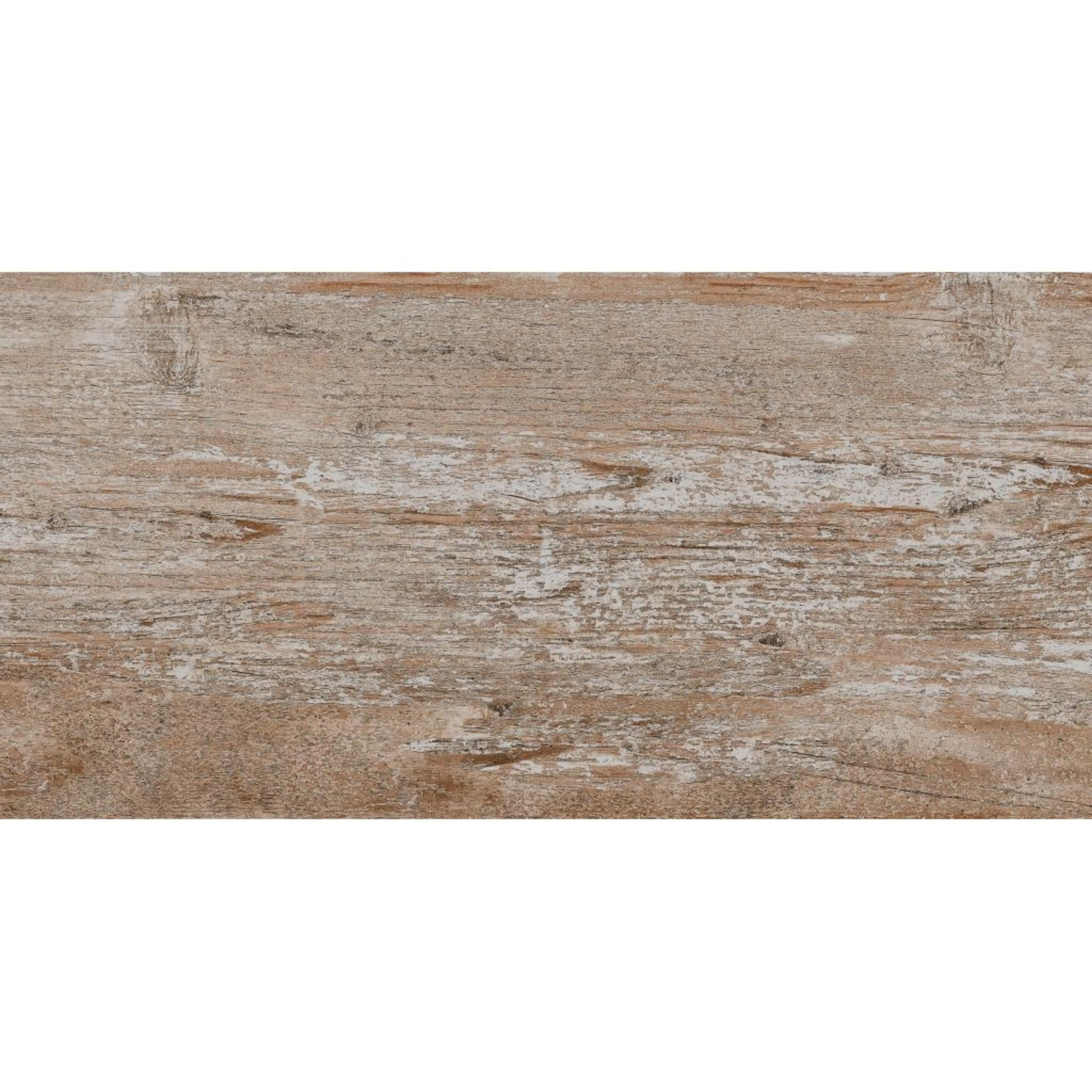 FOSSIL BROWN 9083A11