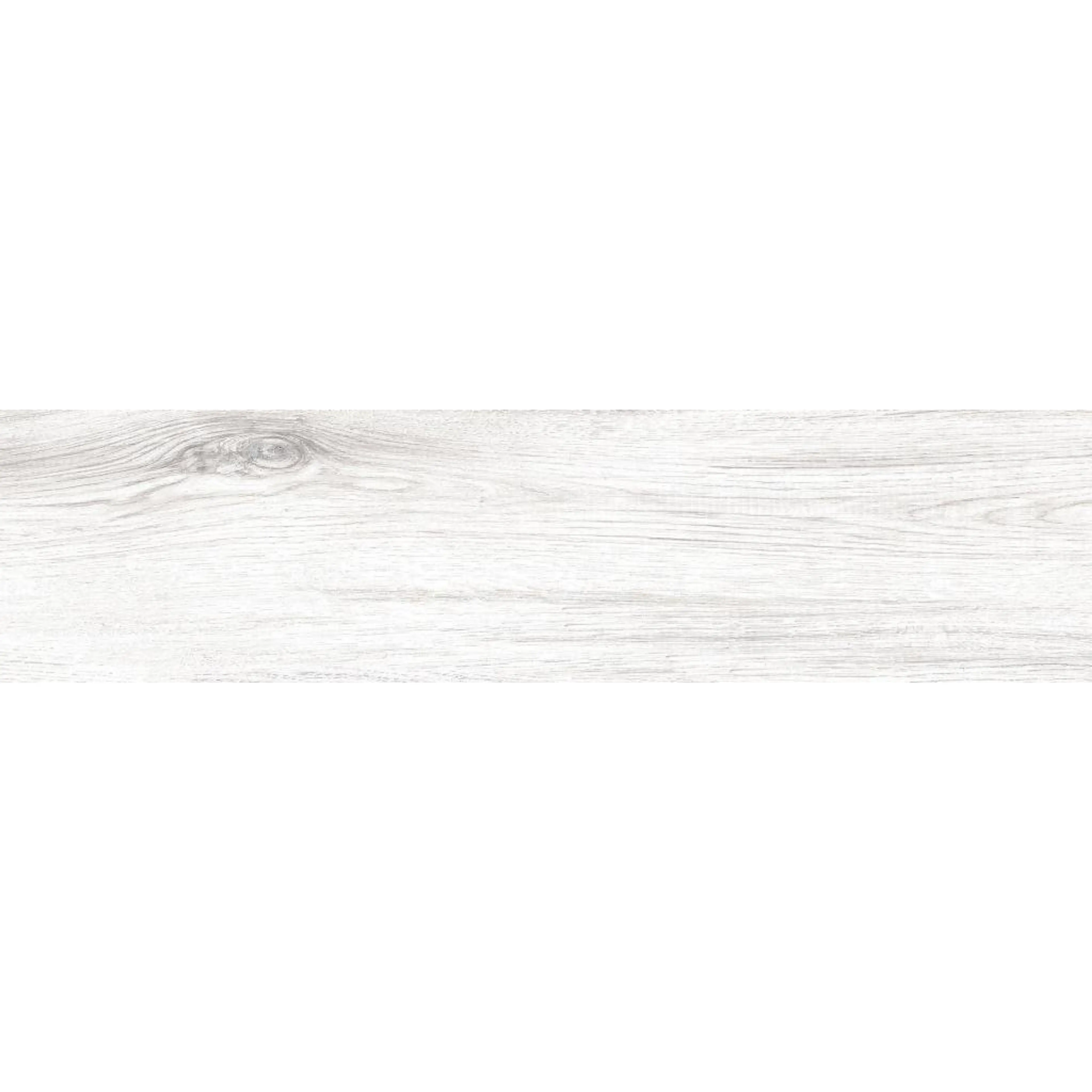 GALANTE WHITE 113CD11