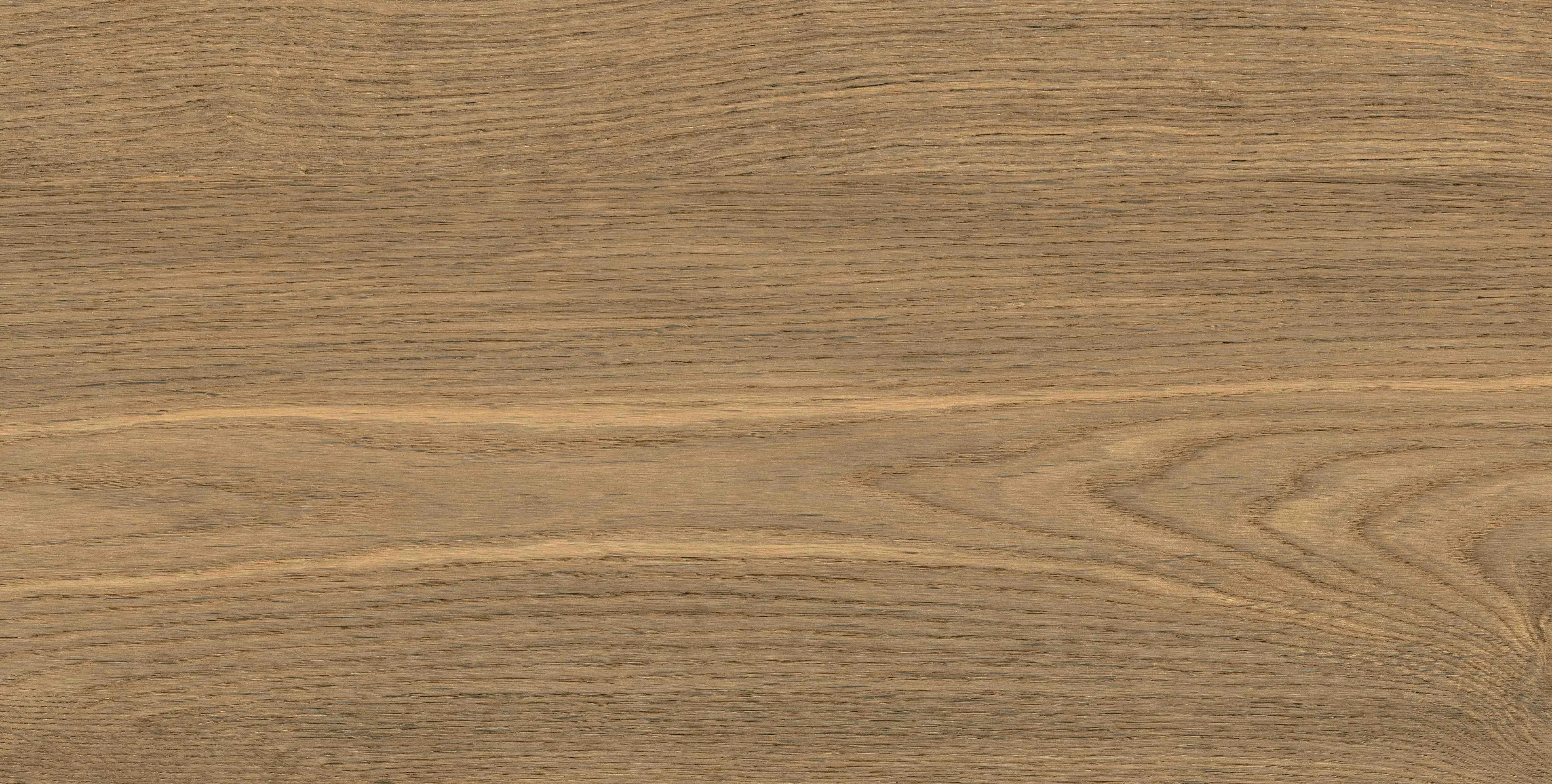 LEONARDO BROWN 9087A11