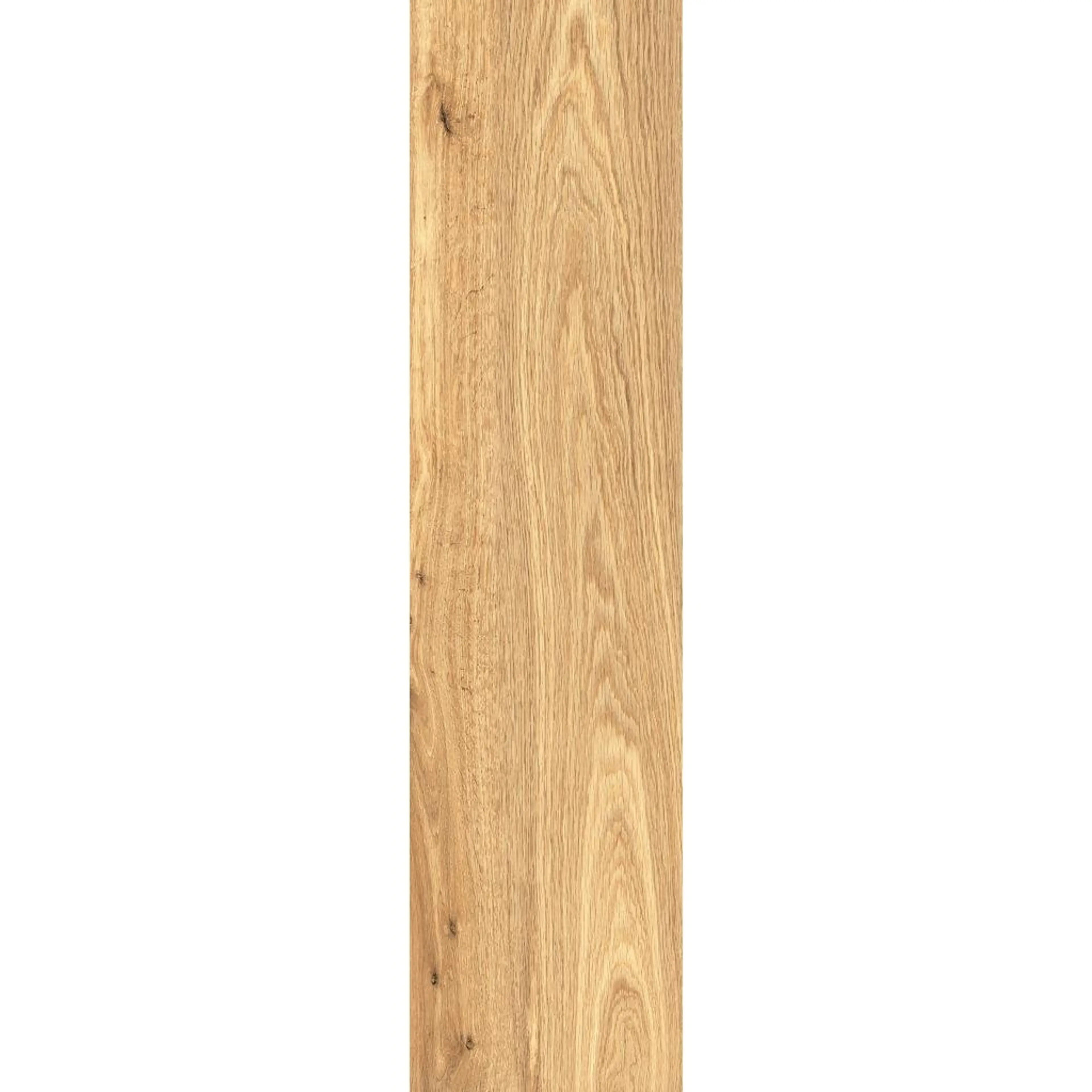 PALADINO HONEY 107CD11