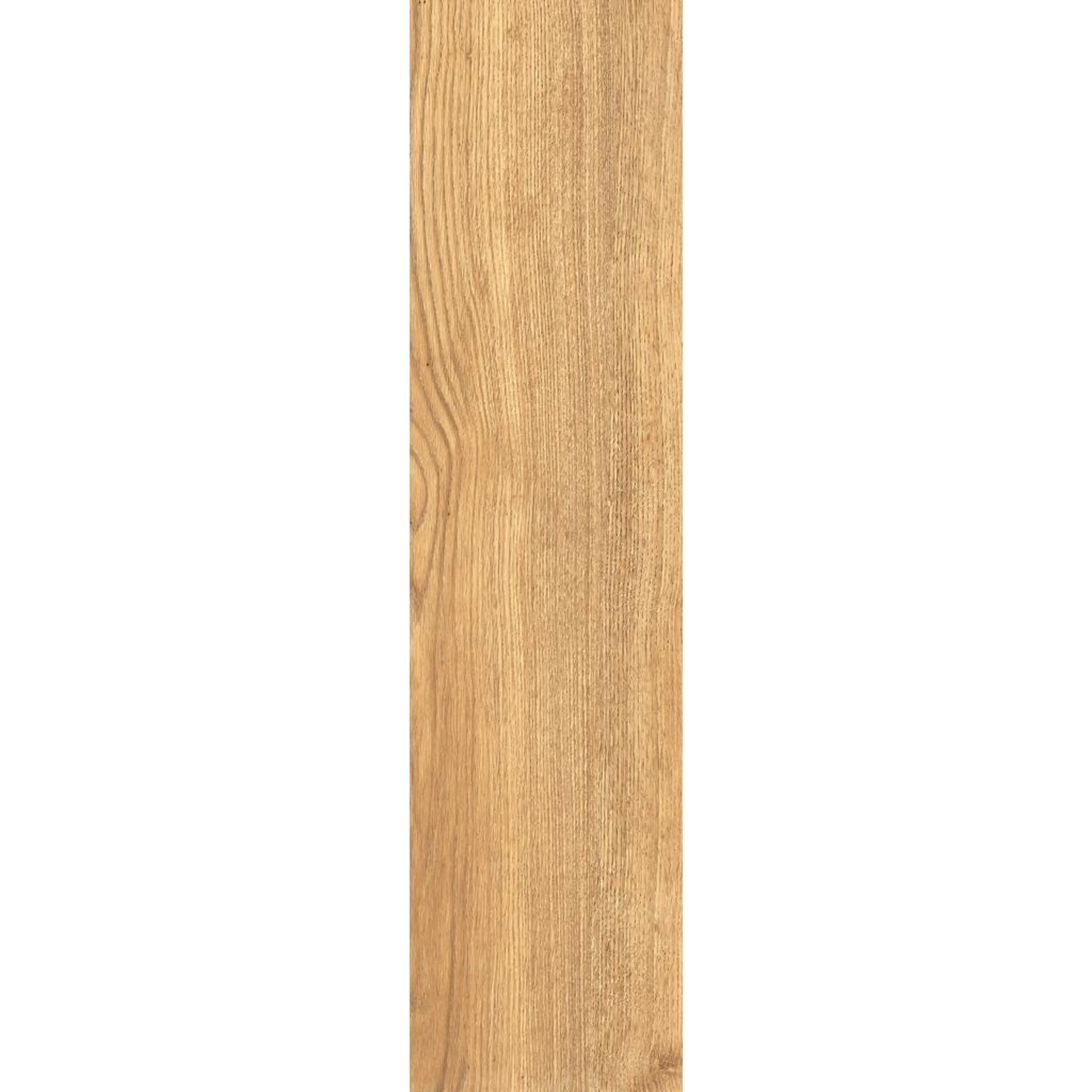PALADINO HONEY 107CD11