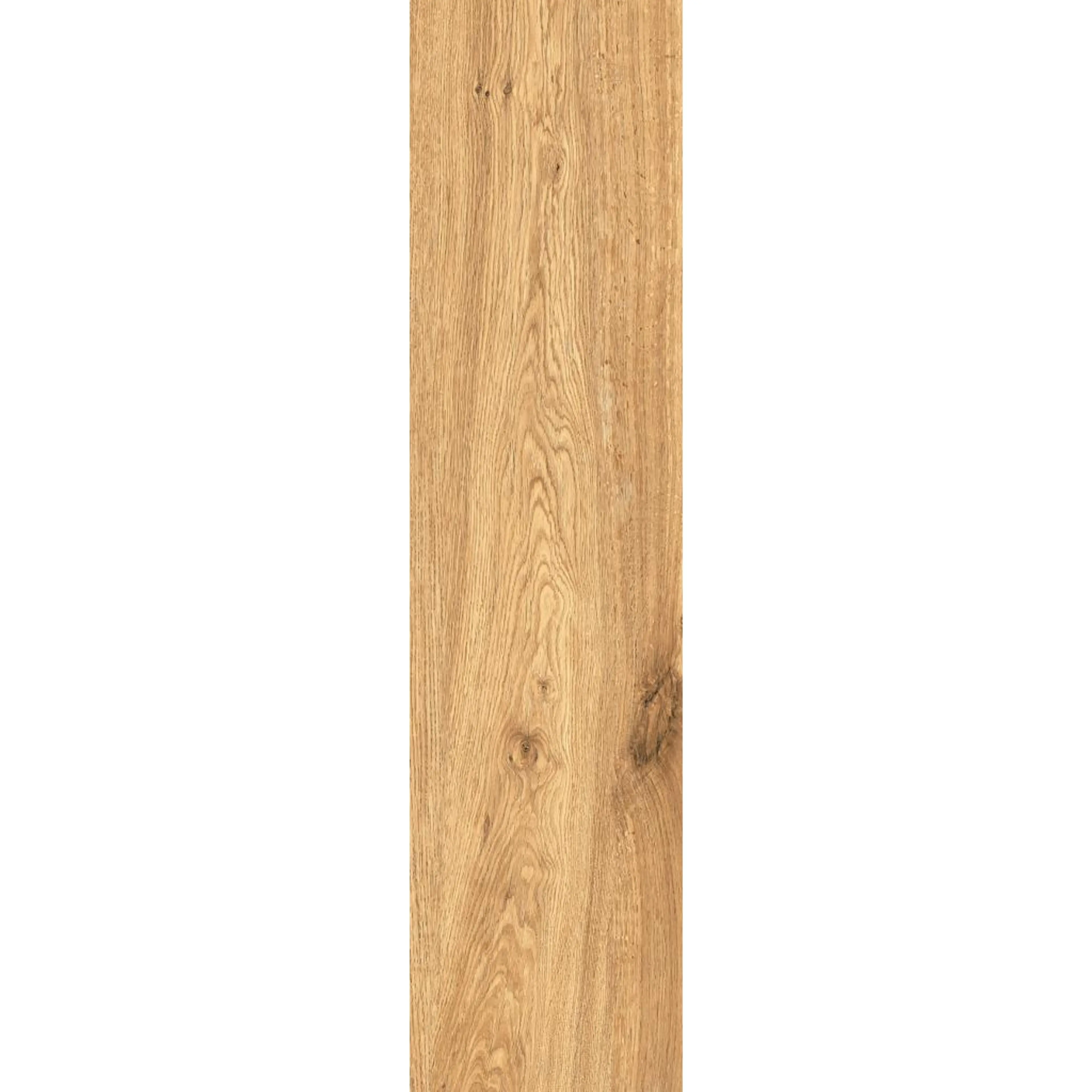 PALADINO HONEY 107CD11
