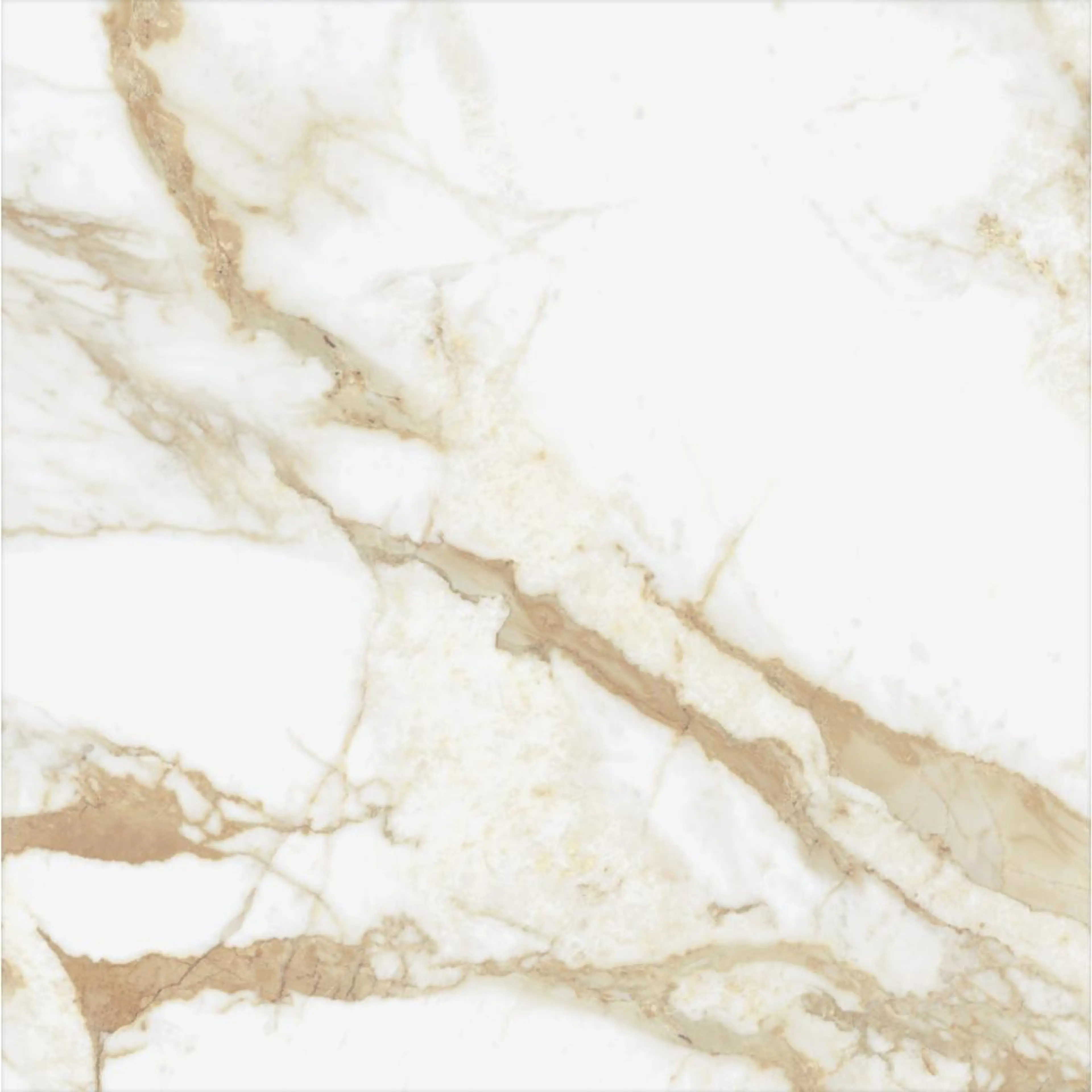 RENOIR BROWN 9022B11