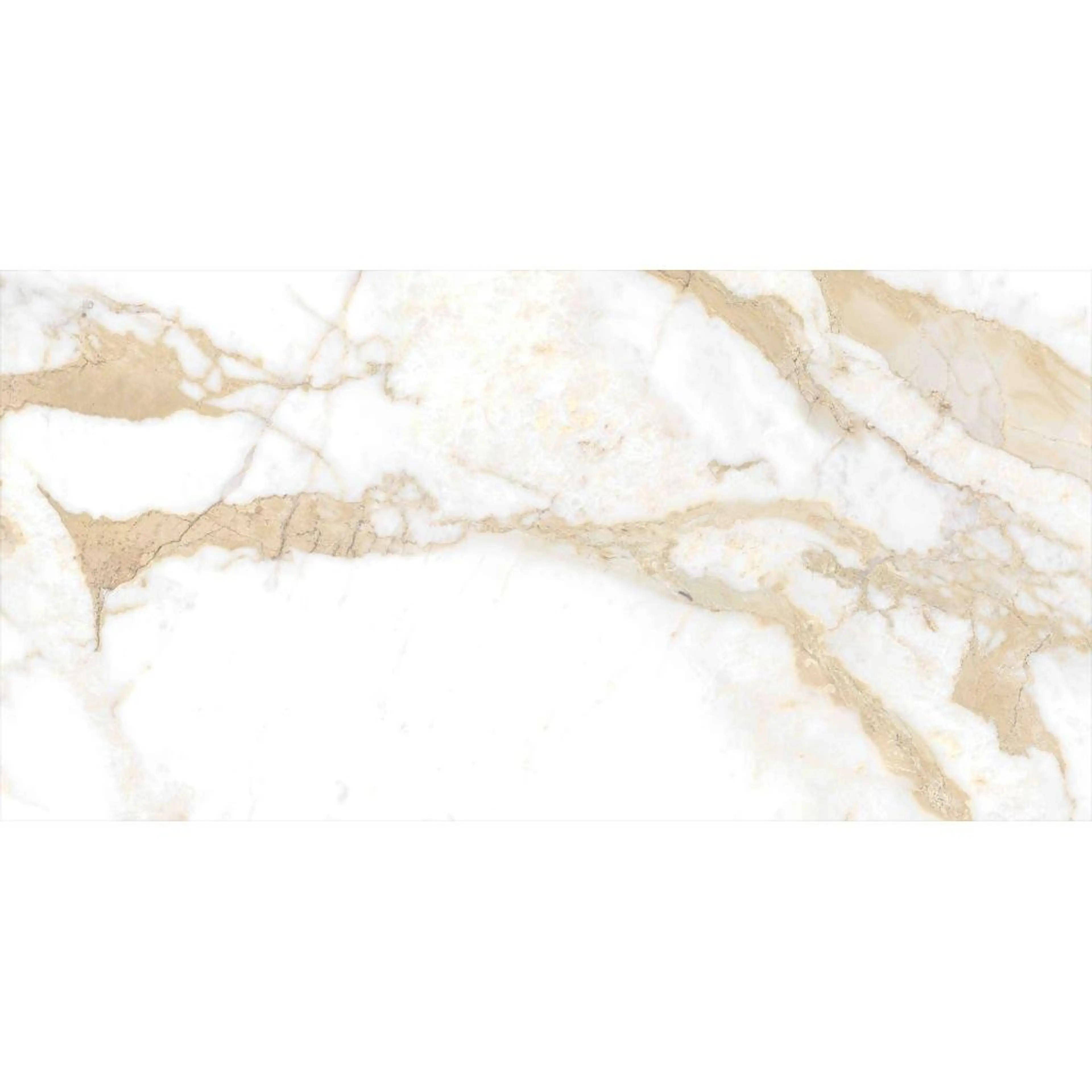 RENOIR BROWN 9048A11