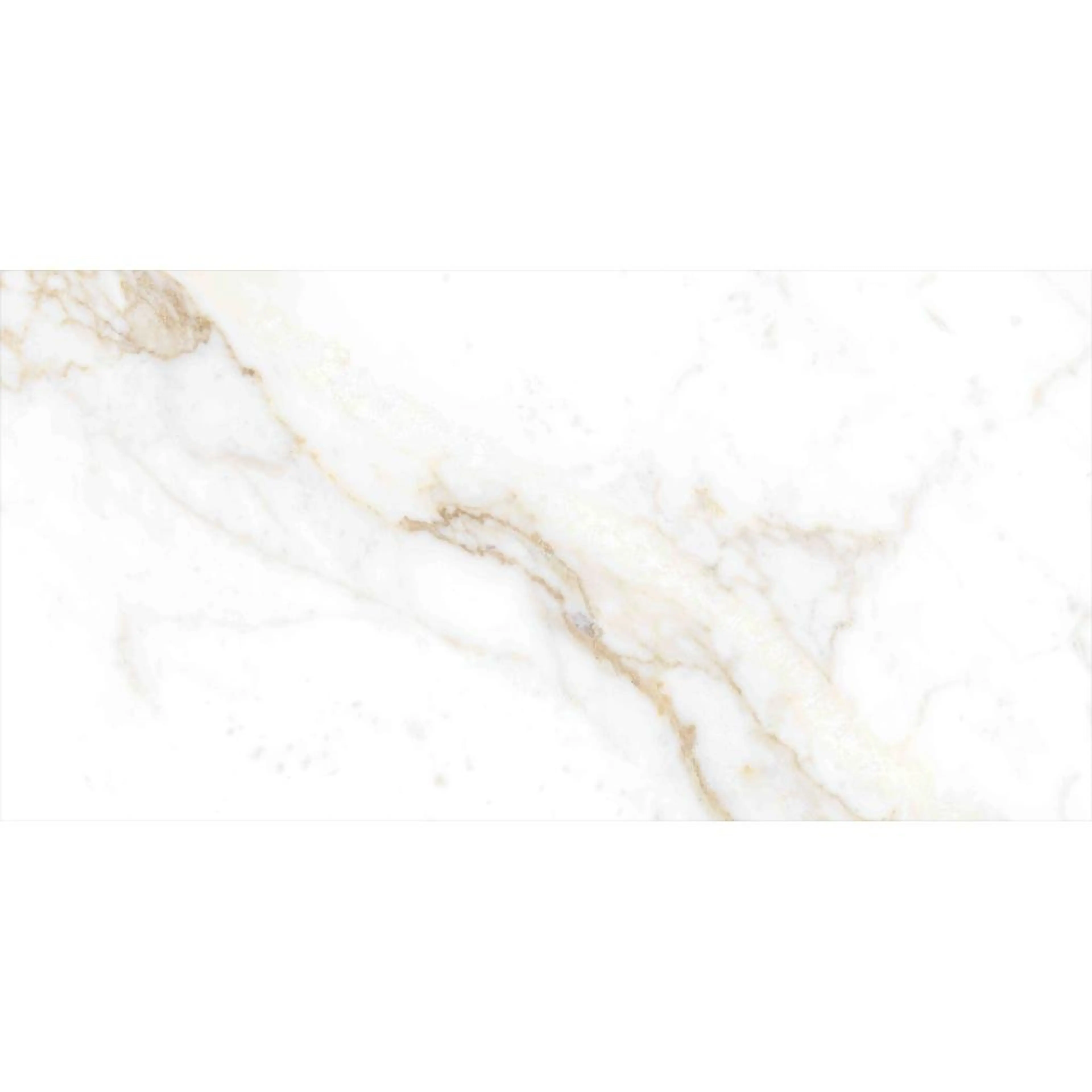 RENOIR BROWN 9048A11