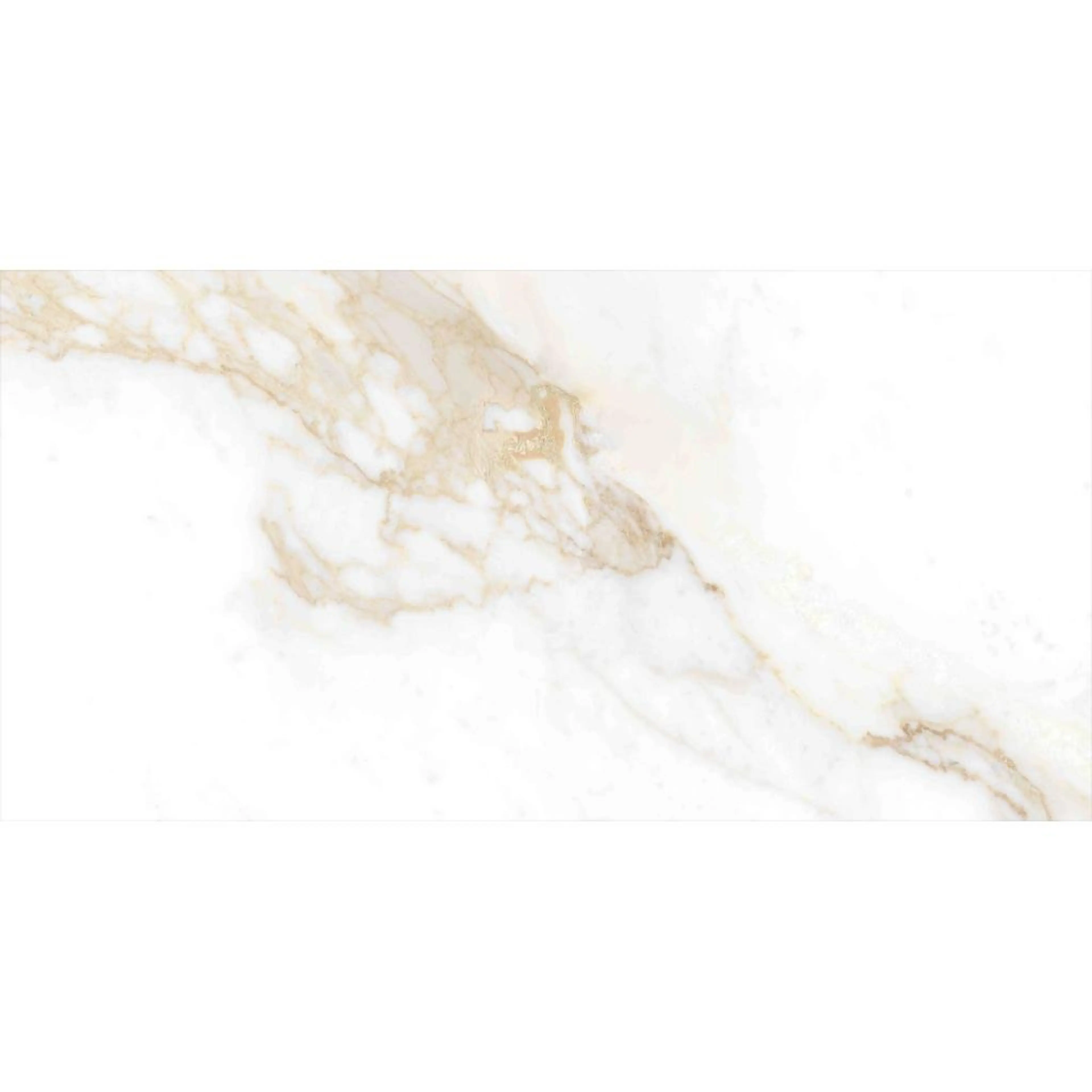 RENOIR BROWN 9048A11