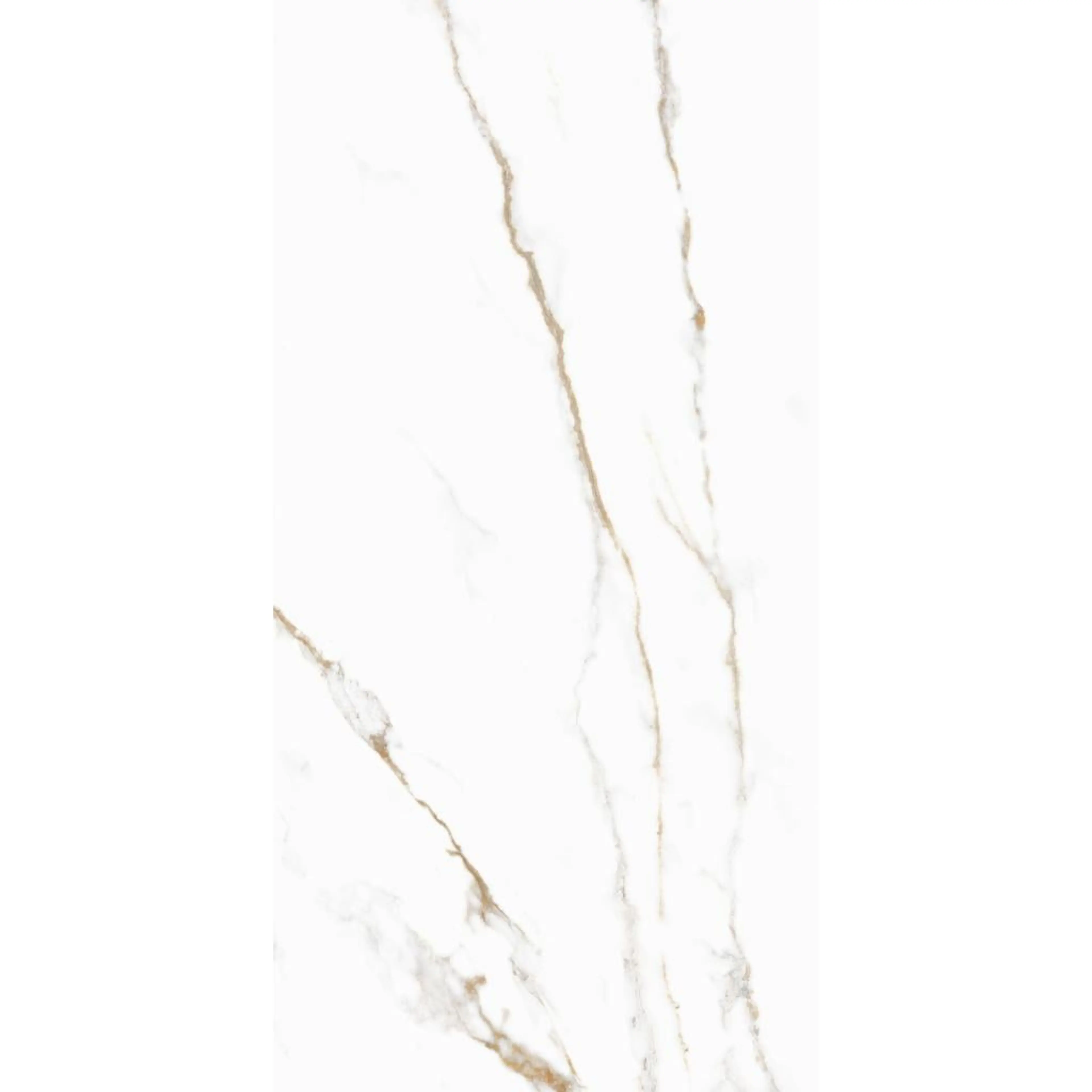 SKYATOS GOLD 172CC11