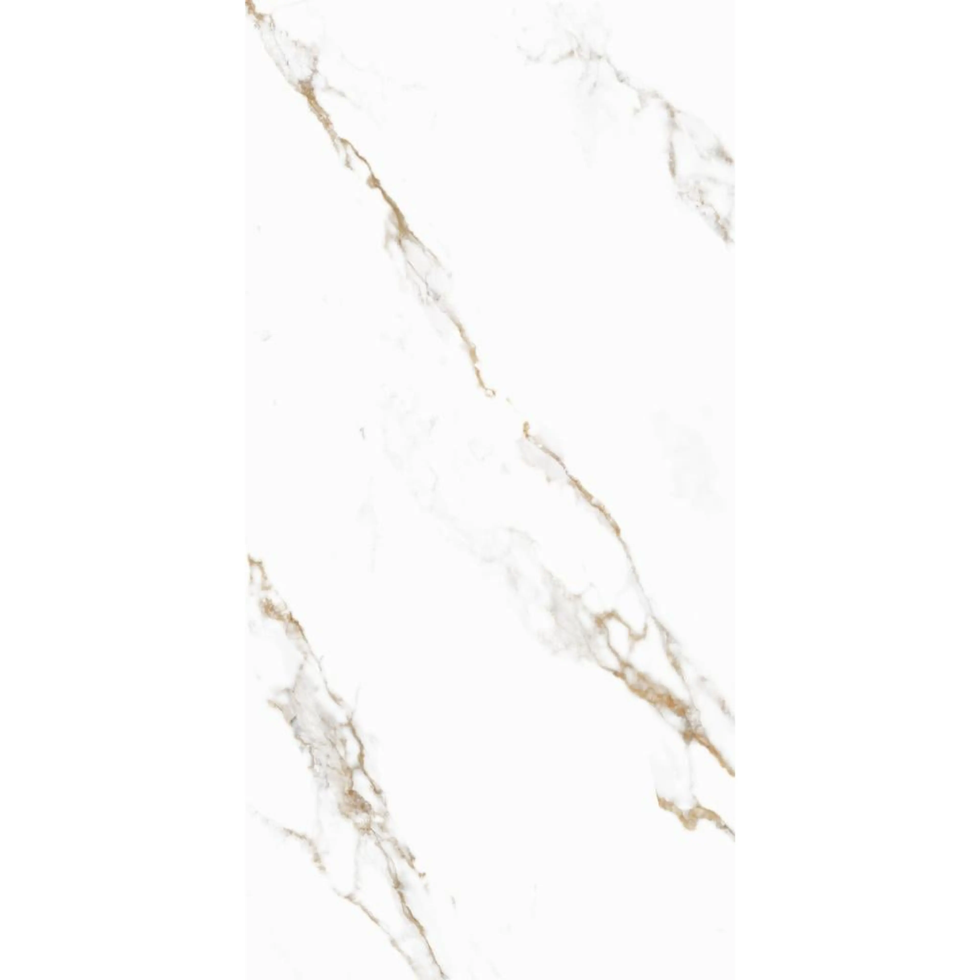 SKYATOS GOLD 172CC11